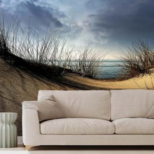 Papier peint panoramique en haut de la dune 364x270cm