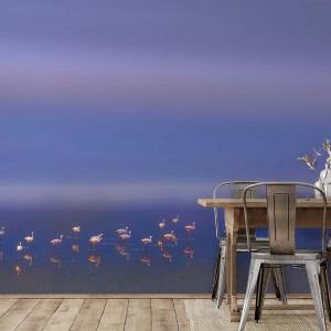 Papier peint panoramique flamants sur lac bleu 364x270cm