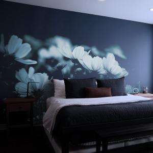 Papier peint panoramique fleurs de cosmos 425 x 250 cm bleu