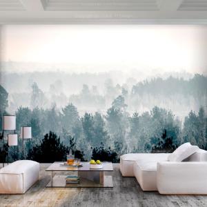 Papier peint panoramique paysages winter forest 150x105 cm