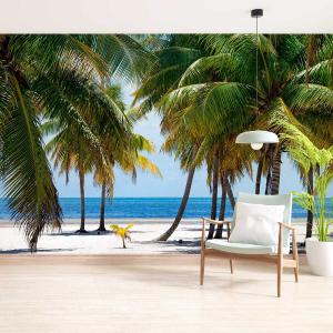 Papier peint panoramique plage des tropiques 364x270cm