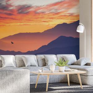 Papier peint vol au dessus de la montagne 364x270 cm