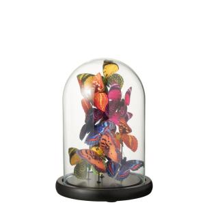 Papillons sous cloche en verre transparent 17.5x17.5x26 cm