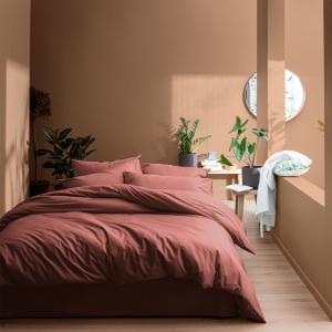 Parure de lit coton lavé taies volant Terre cuite 240x220 2…