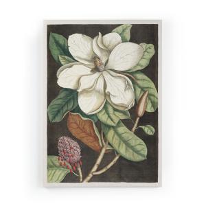 Peinture sur toile 60x40 imprimé HD magnolia