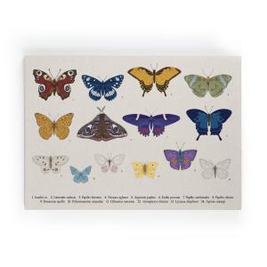 Peinture sur toile 60x40 imprimé HD papillons de couleur