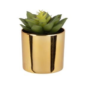 Plante artificielle succulente avec pot doré 6x11.5