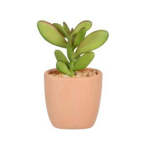 Plante artificielle succulente verte, avec pot terracotta H9