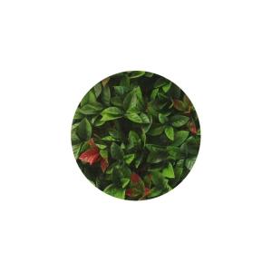 Plaques clipsables de feuillage artificiel 3m² (lot de 12)…