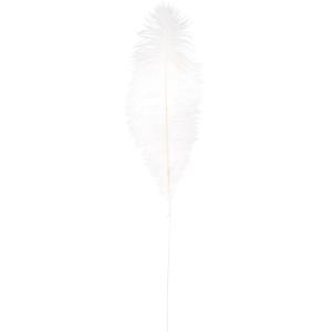 Plume d'autruche blanche