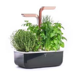 Potager d'intérieur Véritable smart copper