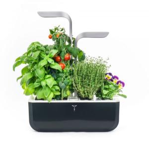 Potager d'intérieur Véritable® smart soft black