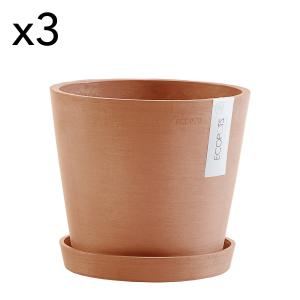 Pots de fleurs avec soucoupe terracotta D20 - lot de 3