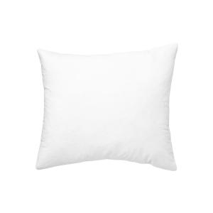 Remplissage de coussin Blanc 50x50