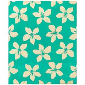 Serviette de plage  microfibre Vert    Alyzee 140x170