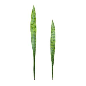 Set de 2 feuilles artificielle de sansevieria vert H91