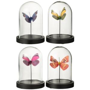 Set de 4 papillons sous cloche en verre transparent 11.5x11…