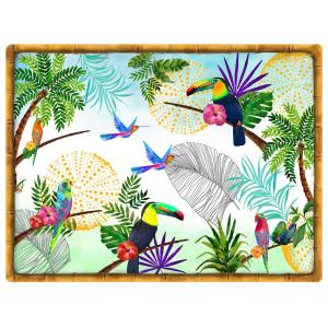 Set de table rectangulaire (40 x 30 cm) lot de 6 - Toucans…