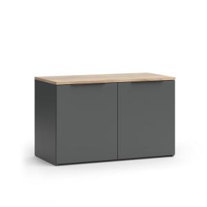 Sideboard avec 2 portes Anthracite 80x50cm