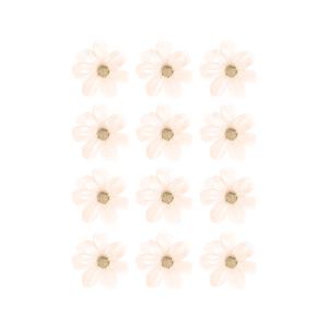 Stickers fleurs de marguerite beige