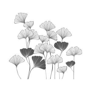 Stickers muraux ginkgo 55x60cm