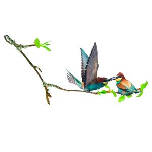 Stickers muraux oiseaux sur une branche 68x18cm