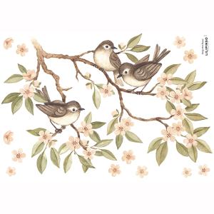Stickers oiseaux en Vinyle mat Multicolore 29.7x42 cm