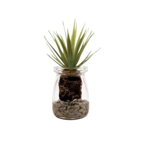Succulente aloe vera en pot transparent artificielle verte…
