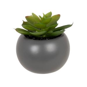 Succulente artificielle et pot gris