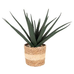 Succulente artificielle verte et pot beige
