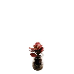 Succulente crassula artificielle en pot bordeaux H13