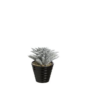 Succulente dudleya artificielle pailletée en pot argenté H1…