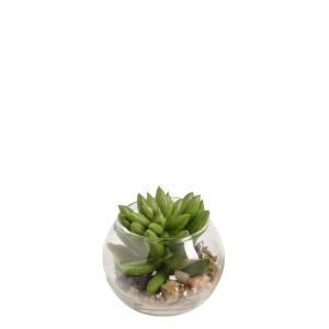 Succulente echeveria en terrarium rond artificielle verte H8