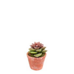 Succulente en pot artificielle en argile rouge et vert H12