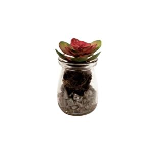 Succulente kalanchoe thyrsiflora en pot artificielle verte…