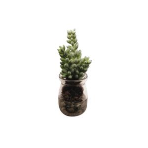 Succulente sedum en pot artificielle verte H13