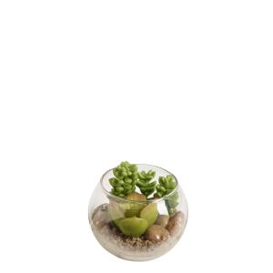 Succulente sedum en terrarium rond artificielle verte H8