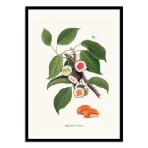 SUSHI PLANT - Affiche d'art avec Cadre bois noir - 50 x 70…