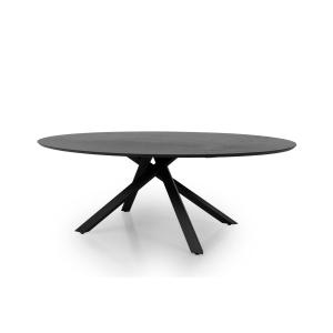 Table à manger ovale 240x120cm couleur noire