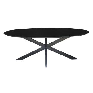 Table à manger ovale 6 personnes 160 cm en bois massif noir