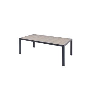 Table de jardin 10 places en alu et plateau effet bois