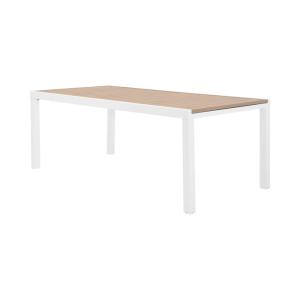 Table de jardin extensible aluminium blanc 10-12 places