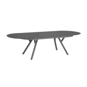 Table de jardin ovale extensible aluminium 10 places anthra…