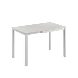 Table de salle à manger extensible Blanc 120x76cm