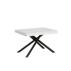 Table extensible 80x120/204 cm effet bois frêne blanc