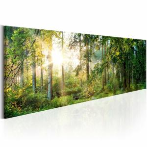 Tableau abri forestier 120 x 40 cm