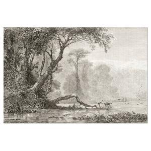 Tableau alu dibond gravure les bords du fleuve 80x50cm