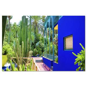 Tableau alu dibond jardin Majorelle 50x30cm