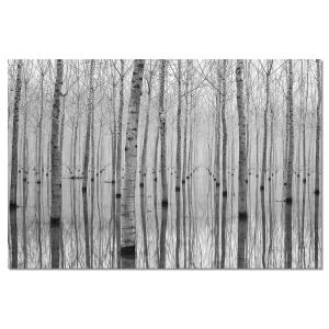 Tableau alu dibond nature automnale pieds dans l'eau 120x80…