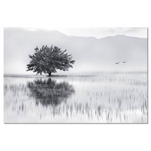 Tableau alu dibond nature reflets d'eau 100x60cm